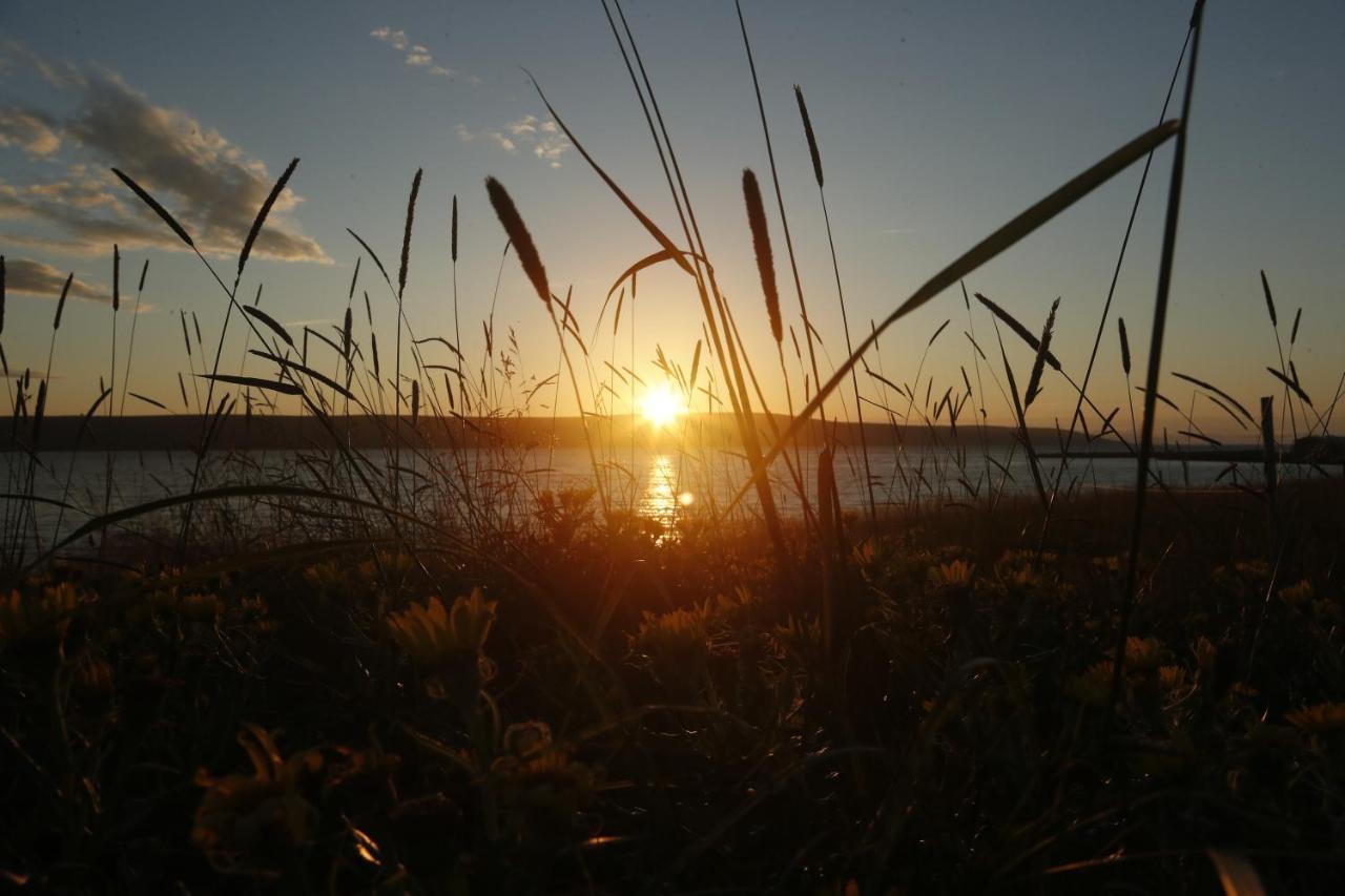 Eyri Seaside Houses Hvammstangi Kültér fotó